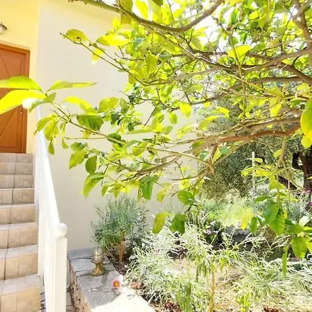 Euryclea Holiday home