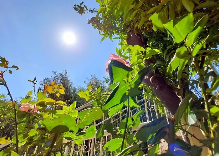 Semesterbostad Euryclea Perachori